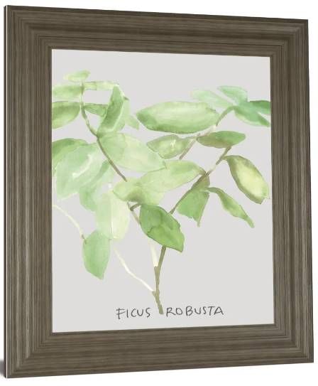 Classy Art Ficus Robusta by Katrien Soeffers Wall Art-1