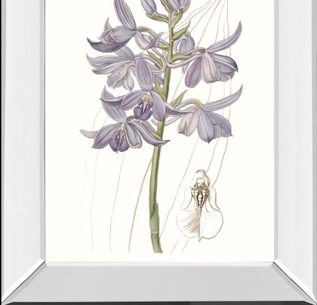 Classy Art Lavender Beauties III by Edwards Mirror Framed Wall Art-1