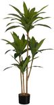 Monarch Specialties Inc. Black 51" Artificial Potted Dracaena Tree-0