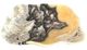 A & B Home Eduardo Beige/Black/Gray Hand-Carved Zebra Onyx Bowl-0