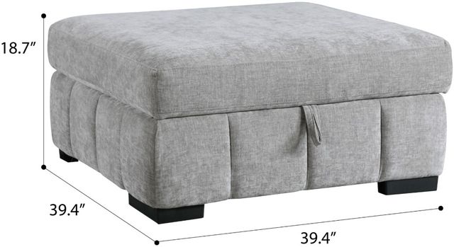 Emerald Home Ritchie Gray Storage Ottoman-3