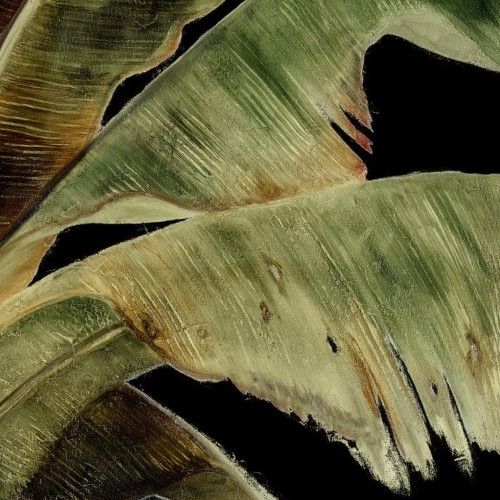 Classy Art Uraba Palm on Black I by Patricia Pinto Wall Art-1