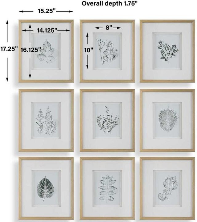 Uttermost® Nature's 9-Piece Framed Print Art Set-2