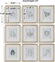 Uttermost® Nature's 9-Piece Framed Print Art Set-2