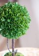 A & B Home Green Artificial Boxwood Topiary in White Pot-3