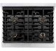ZLINE 30" Satin Stainless Steel Pro Style Gas Range with 8 Burner Cooktop-4