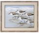 Stylecraft Sandpipers I Light Blue/Taupe/White Wall Art-0