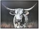 Signature Design by Ashley® Harlandale Wall Art-0
