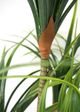 Le Present Dracaena Green Faux Botanical-3