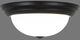YHD Flat Black/White 2-Light 13" Flush Mount Lighting-1