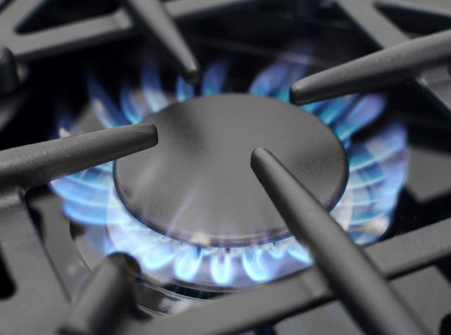 BlueStar® Culinary Series 48" Color Match Pro Style Gas Range-1