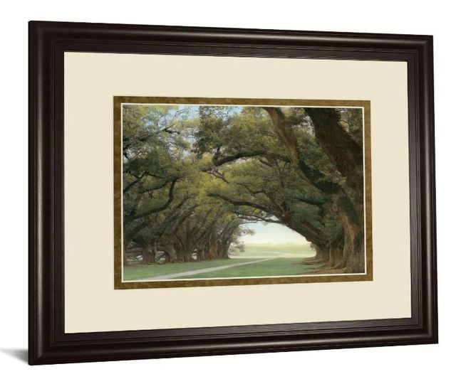 Classy Art Alley Of The Oaks by William Guion Wall Art-1