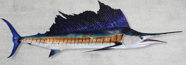 StyleCraft Sailfish Wall Art-1