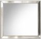 ACME Furniture Voeville II Platinum Mirror-0