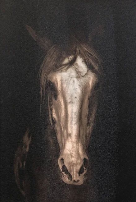 Stylecraft Strong Stallion II Wall Art-1