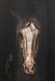 Stylecraft Strong Stallion II Wall Art-1