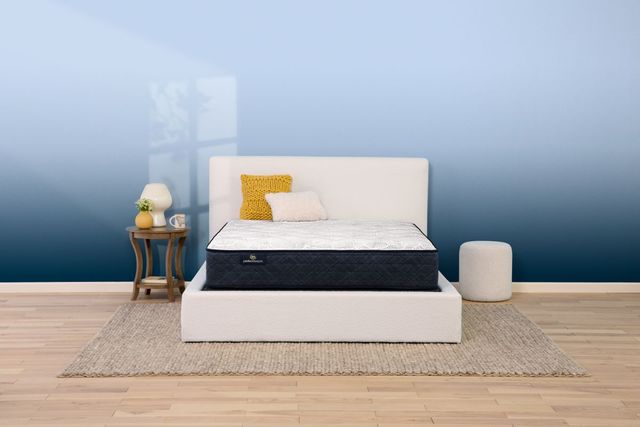 Serta® Perfect Sleeper® Adoring Night 10.5" Wrapped Coil Plush Tight Top Twin Mattress-2