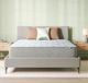 BeautySleep® Soothing Nights 14" Pocketed Coil Plush Tight Top Twin Mattress in a Box-0