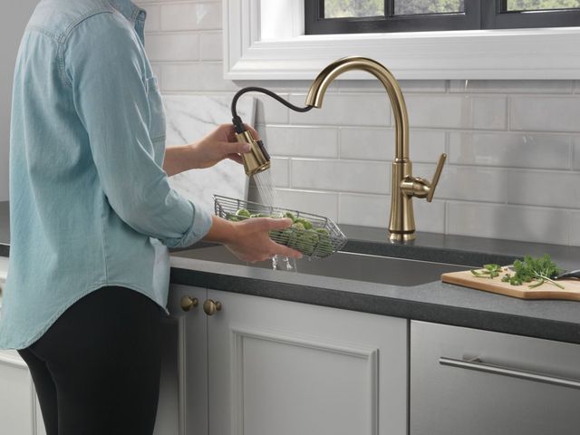 Delta Coranto® Champagne Bronze Single Handle Kitchen Faucet-2