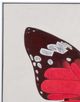 Bassett Mirror Butterfly 2-Piece Wall Art Set-4