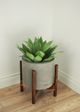 Le Present Agave Green 16" Faux Botanical-5