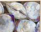 Stylecraft Clambake Cluster II Wall Art-1