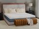 Serenata Plush Queen Mattress-3