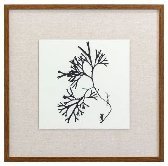 YHD Naturalism III Wall Art-0