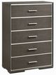 ACME Furniture Escher Gray Oak Chest-0