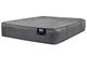 Agren Signature Factory Direct Dresden Wrapped Coil Firm Tight Top Queen Flippable Mattress-0