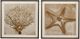 Bassett Mirror Neutral Starfish Framed Print Wall Art-2