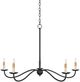 Currey & Company Saxon Zanzibar Black Small Chandelier-1