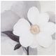 Olliix by Madison Park Midday Bloom White Floral Hand Embellished Canvas-0