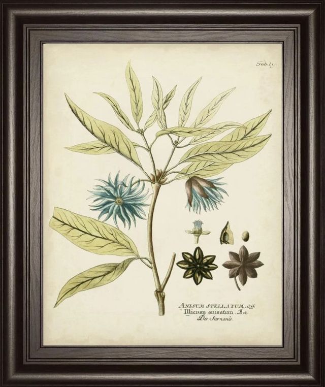 Classy Art Eloquent Botanical III by Vision Studio Wall Art-0