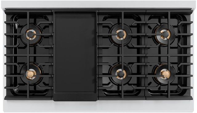 ZLINE Paramount 48" Satin Stainless Steel Gas Rangetop with Matte Black Accents-2