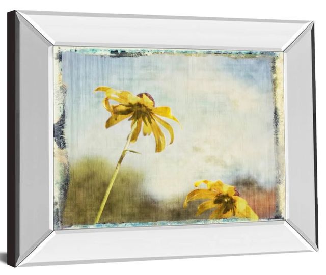 Classy Art Blackeyed Susan Il by Meghan Mcsweeney Mirror Framed Wall Art-1