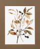 StyleCraft Preserved Autumn Leaves Brown/Taupe/White Wall Art-1
