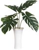 Uttermost® Muse Green/White Monstera Centerpiece-0