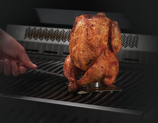 Napoleon 5" Stainless Steel Chicken Roaster-1