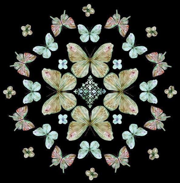 Classy Art Butterfly Kaleidoscope by Carol Robinson Wall Art-0
