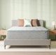 BeautySleep® Soothing Nights 16" Pocketed Coil Plush Pillow Top Twin Mattress in a Box-0
