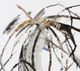 Stylecraft Brown/Gray/White Abstract Print-1