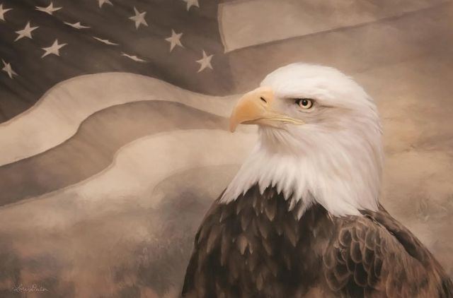 Classy Art US Symbols by Lori Deiter Wall Art-0