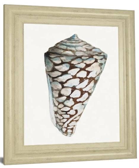Classy Art Modern Shell With Teal II by Patrica Pinto Wall Art-1