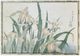 Stylecraft King Fisher with Irises Wall Art-0