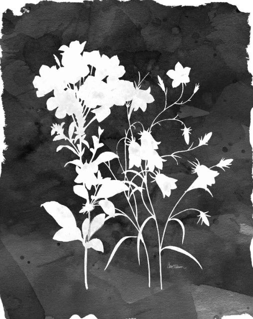 Classy Art Black/White Botanical II by Carol Robinson Wall Art-0