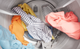 Whirlpool® Front Load Electric Dryer-White-3