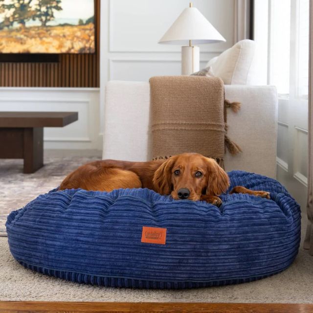 CordaRoy's® Forever Navy Terry Corduroy 40" Dog Bed-1