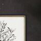 Magnolia Home by Joanna Gaines 2-Piece Flora II Wall Art Set-1