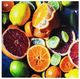 YHD Citrus Sweets Wall Art-0